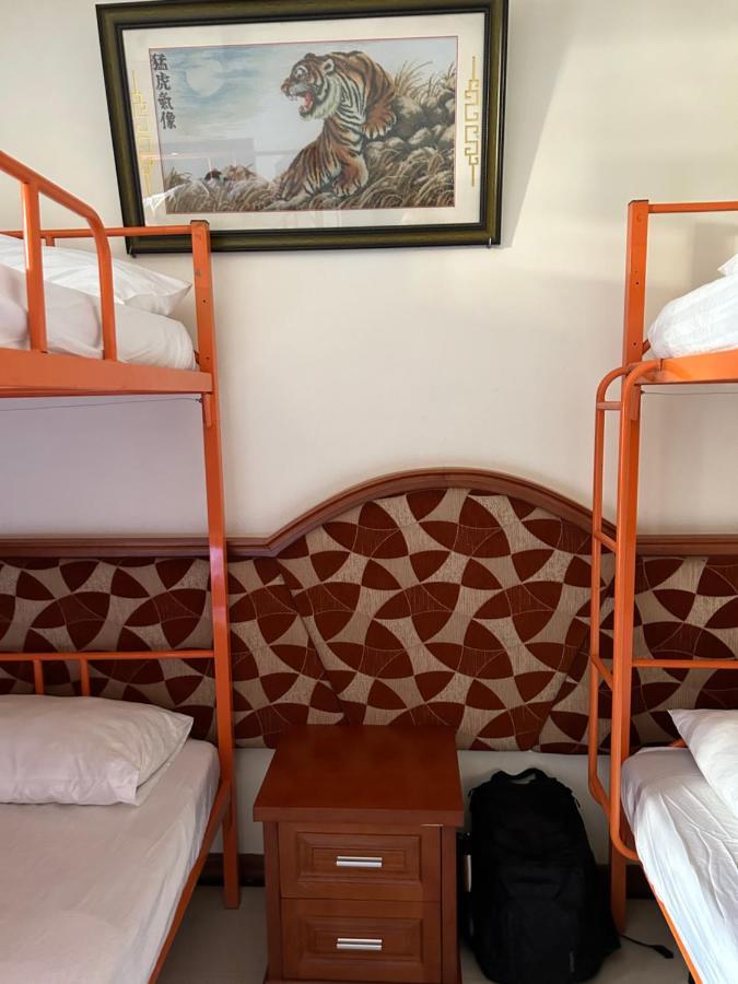 Halong Starlight Inn & Travel ハロン エクステリア 写真